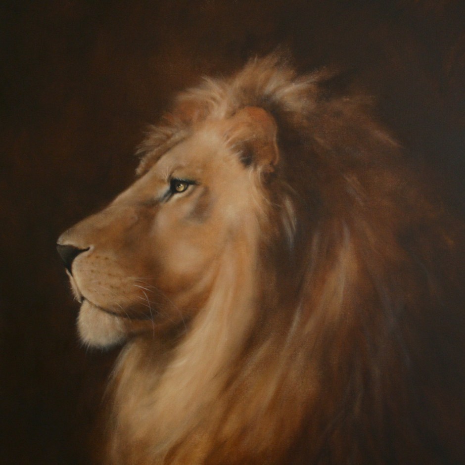 IMG_8935 - Daisy Poncelet