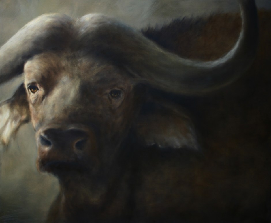 IMG_0559 - Daisy Poncelet