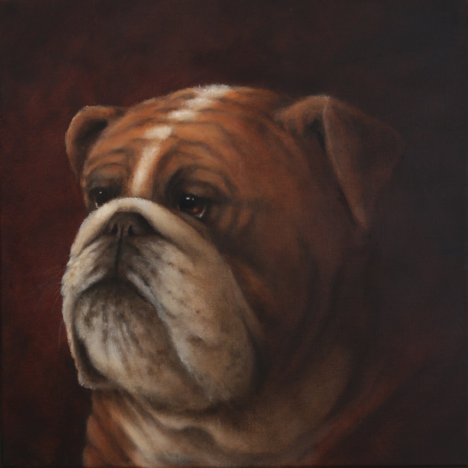 IMG_6240 - Daisy Poncelet - Bouledogue