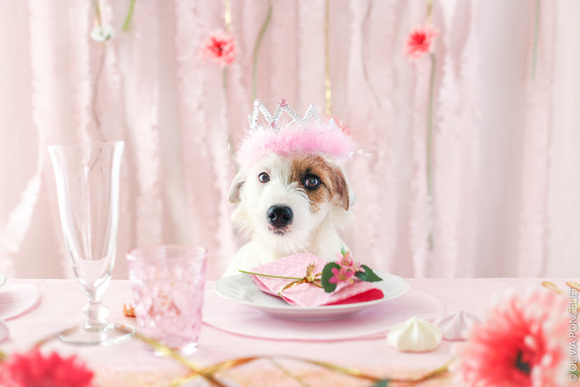 27032015-img_6064-olivia-poncelet-830-blog